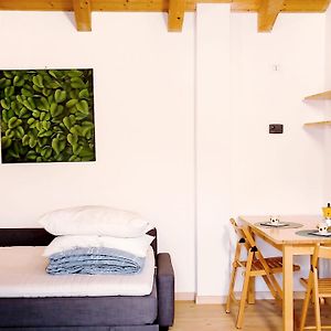 Residence Salvadori